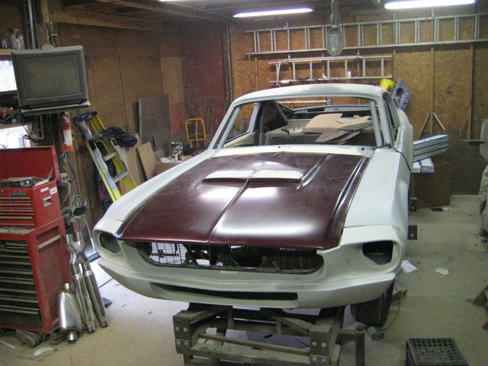 Mustang_Nose-14